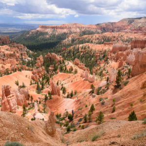 Bryce Canyon 6